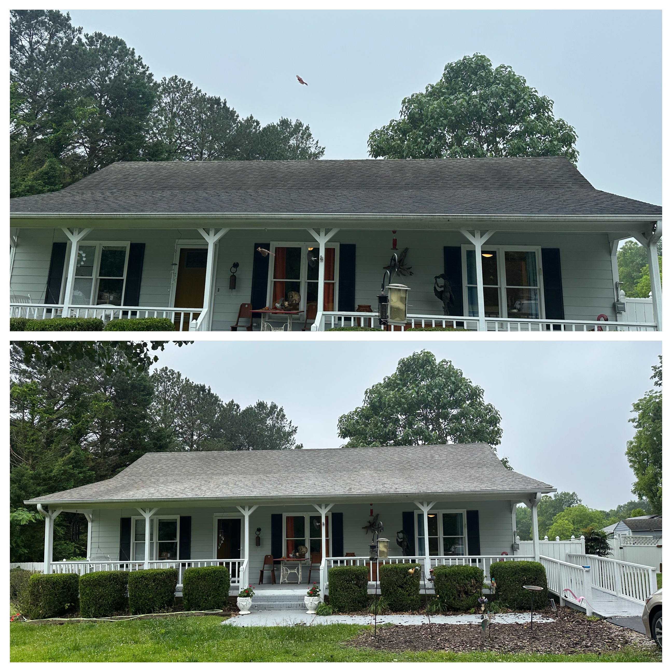 Top Quality Roof Cleaning Clayton,NC